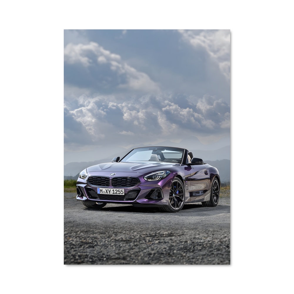Poster Z4 sur Route Gravelée